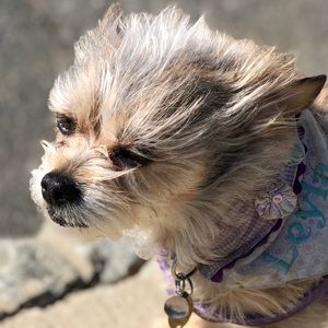 Meet your Posher, Ramiro